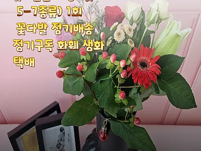 유스풀몰 소형 꽃다발 1회 정기배송, 관련 이미지 1