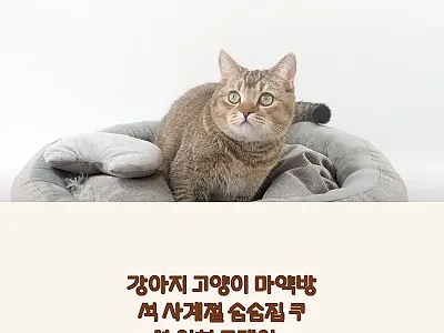 강아지 고양이 마약방석 사계절 숨숨집 관련 이미지 1